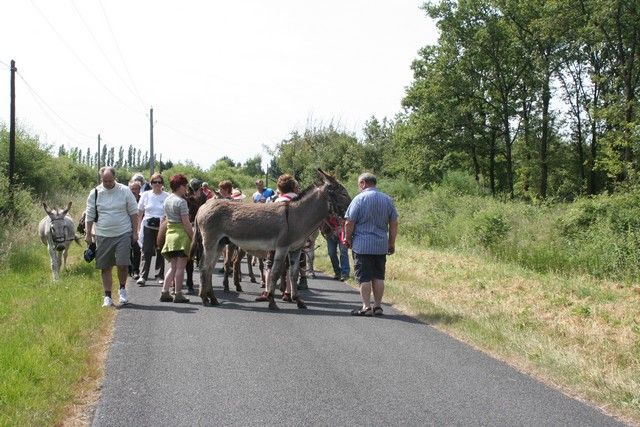 2015-07-06 rando anes (33).JPG